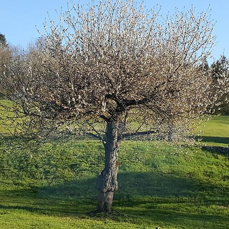 Gite Bard Des Ours Saint-Martin-en-Vercors Екстериор снимка