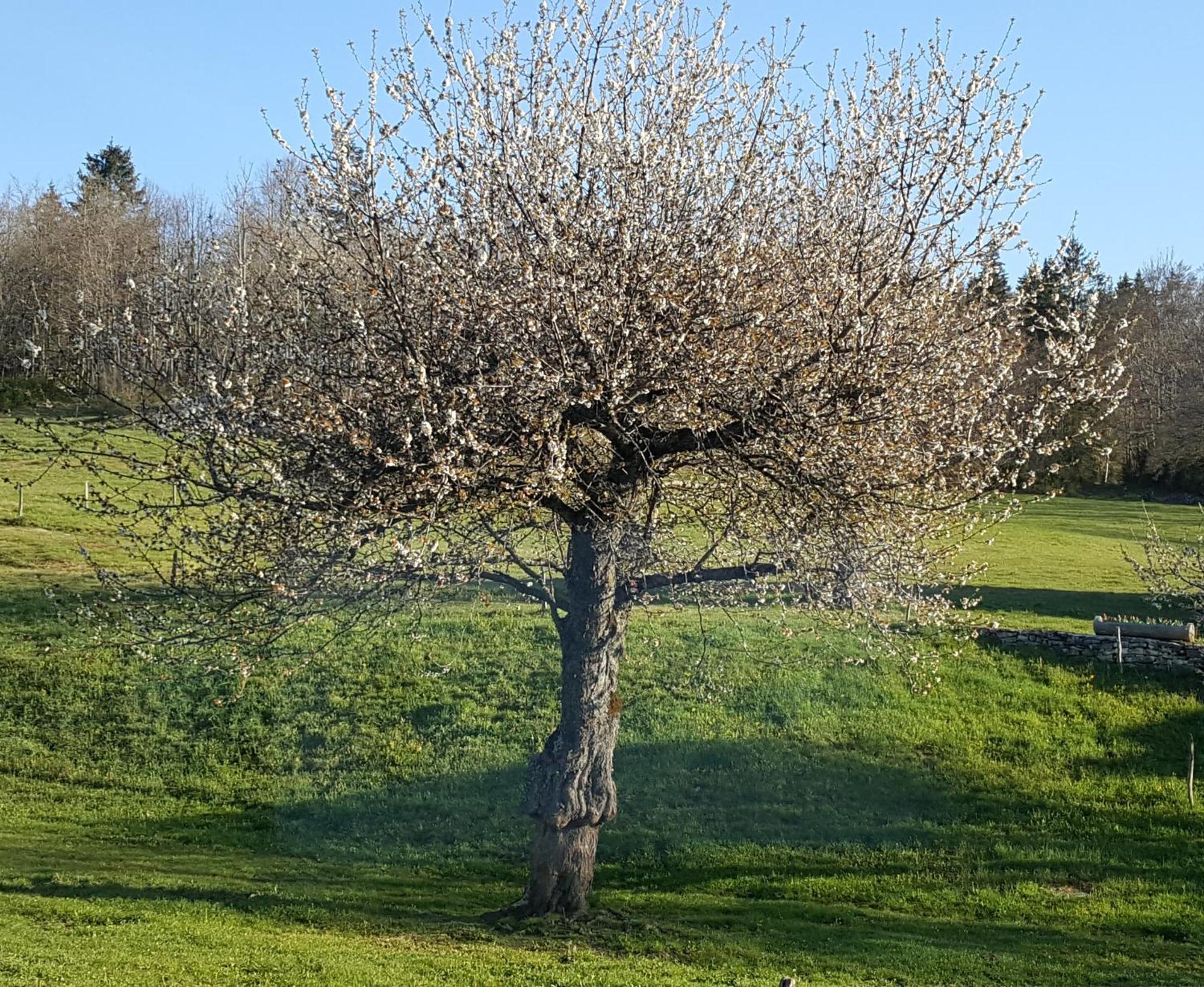 Gite Bard Des Ours Saint-Martin-en-Vercors Екстериор снимка